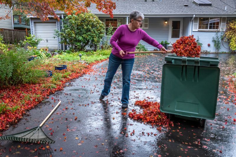 Fall Lawn Preparation