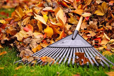 Autumn Lawn Maintenance Tools