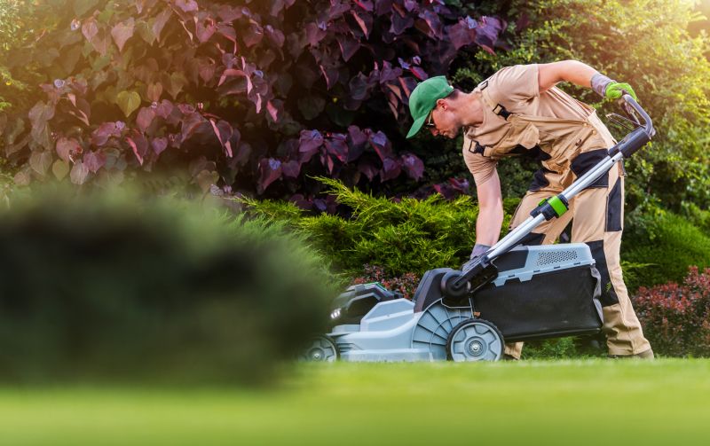 Commercial Lawn Care detail