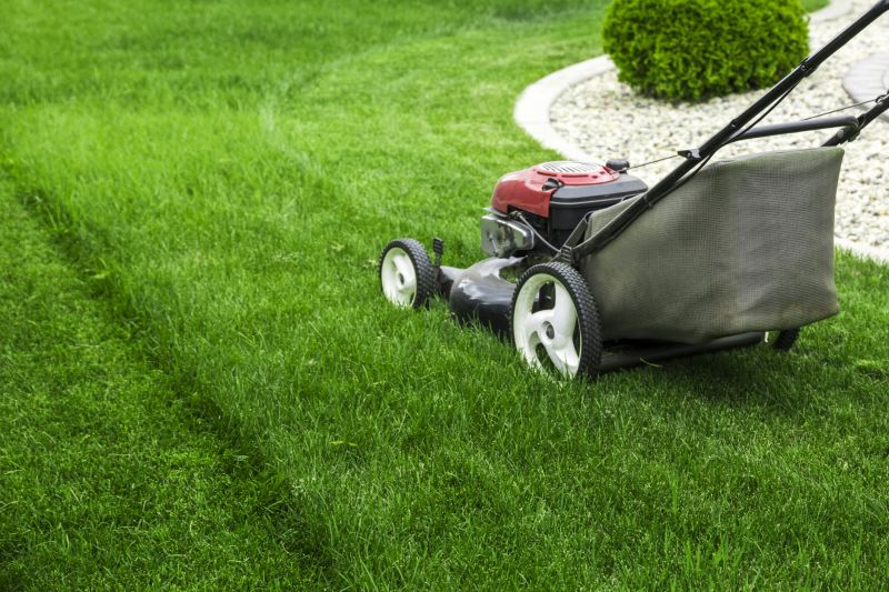Lawn Care Maintenance