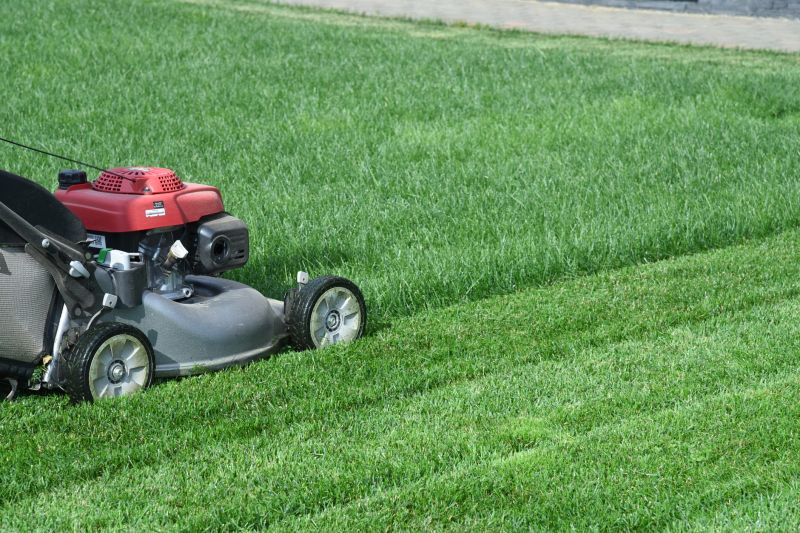 Lawn Mowing Equipment in Use