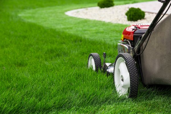 Lawn Cutting Service in Anderson