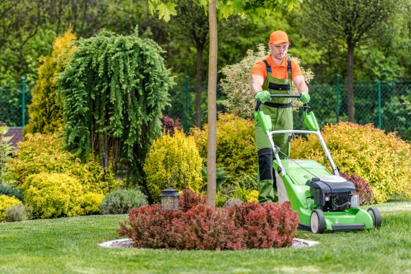 Yard Service in Anderson