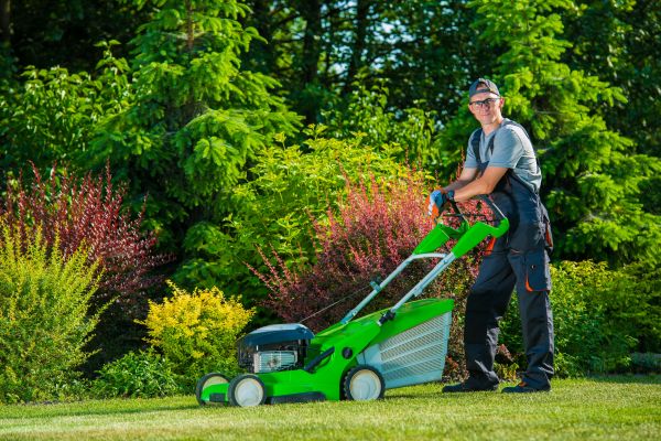 Yard Work Service in Anderson