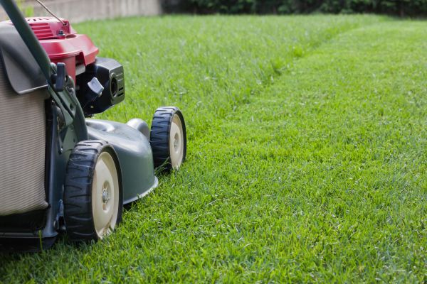 Residential Lawn Care in Anderson