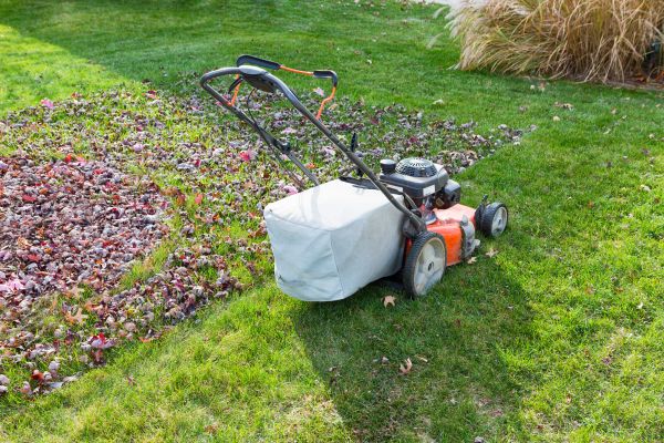Seasonal Lawn Care in Anderson