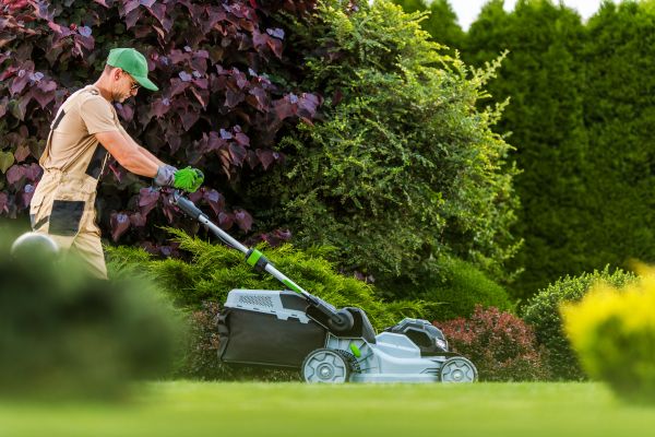 Lawn Management in Anderson