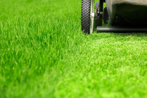 Weekly Lawn Care in Anderson
