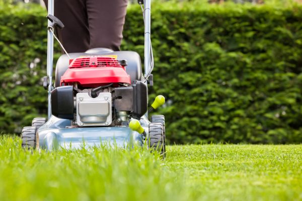 Grass Trimming Service in Anderson