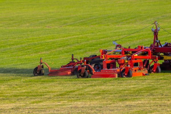 Industrial Lawn Service in Anderson