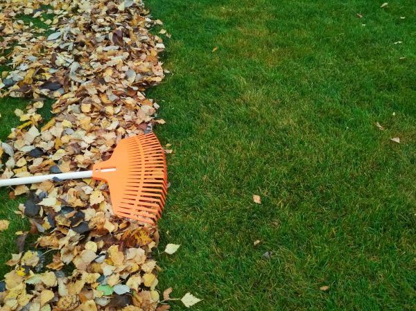 Fall Lawn Care in Anderson