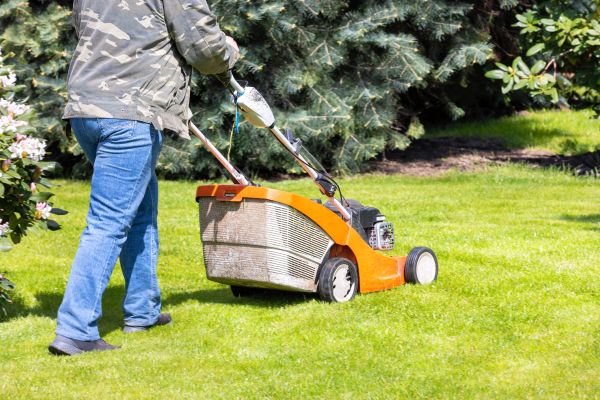 Springtime Lawn Care in Anderson