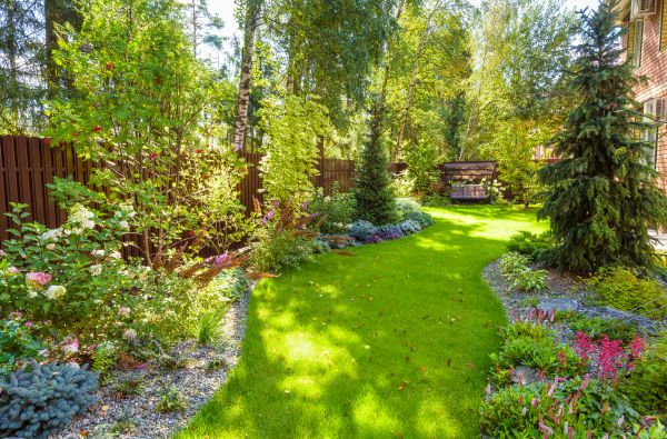 Spring Yard Maintenance in Anderson